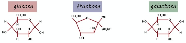 葡萄糖、果糖和半乳糖的分子圖