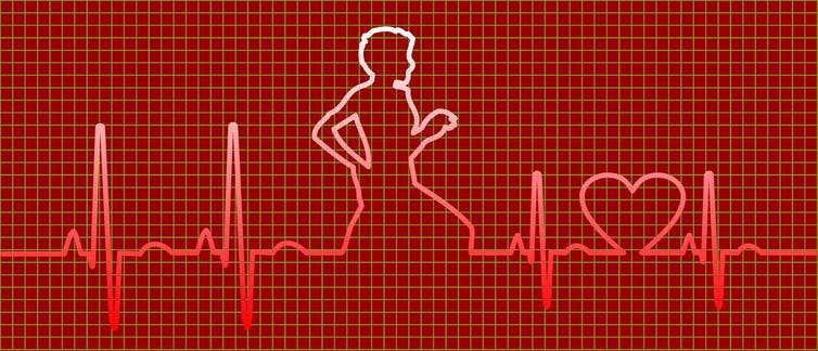 EKG 心跳讀數的插圖，其中包含一個正在運行的圖形和一顆心臟